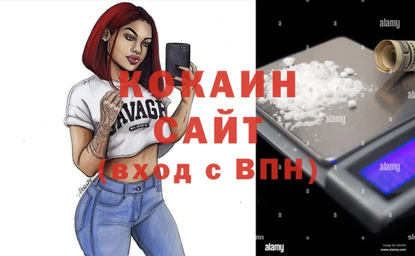 прущие грибы Шадринск