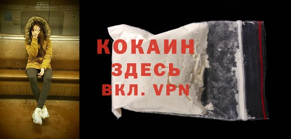 винт Алзамай