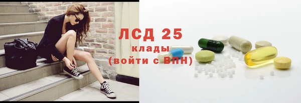 стаф Алексин