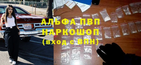 гидра Алексеевка