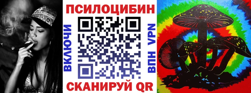 Псилоцибиновые грибы Cubensis  сколько стоит  Бийск 